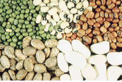 bean day